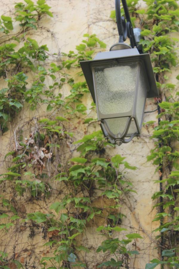 La Cour Villa Lourmarin Dış mekan fotoğraf